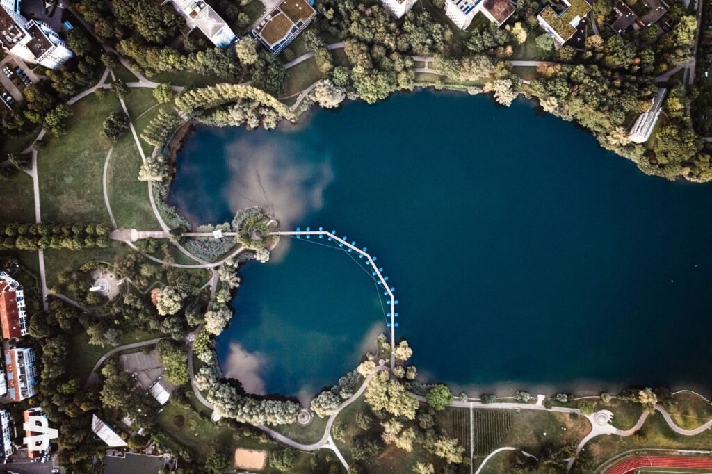 Shaped nature