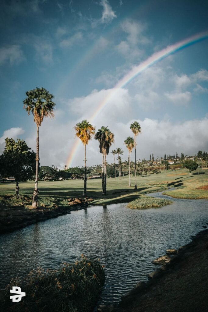 Tropical Rainbow