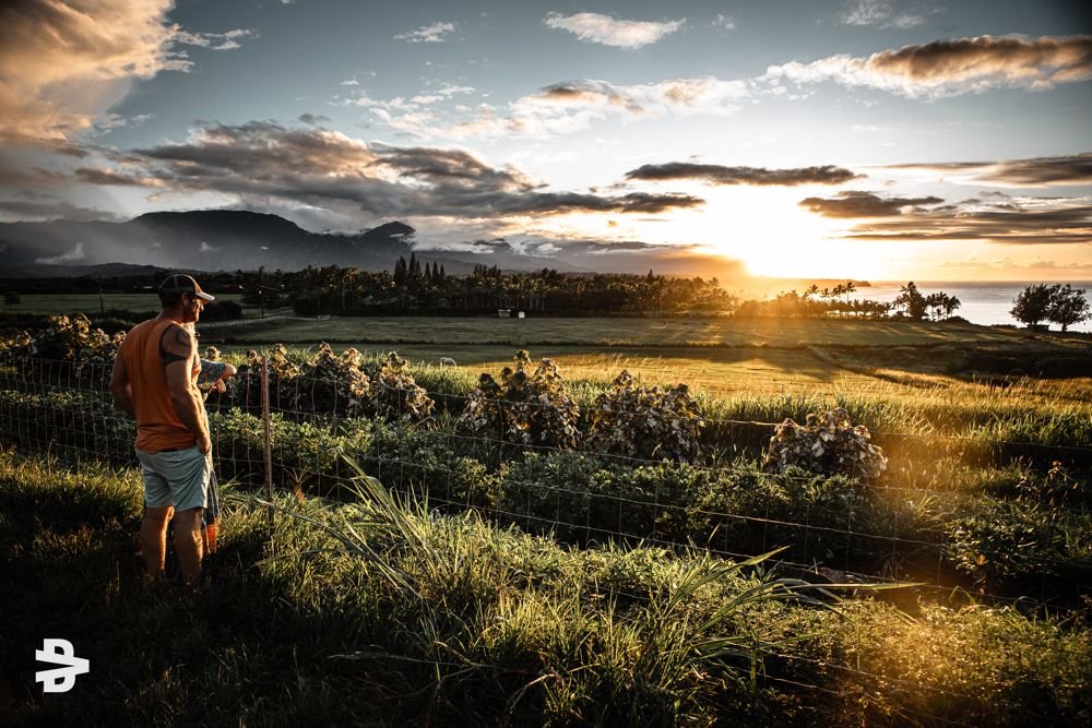 Kauai Sunset Mood