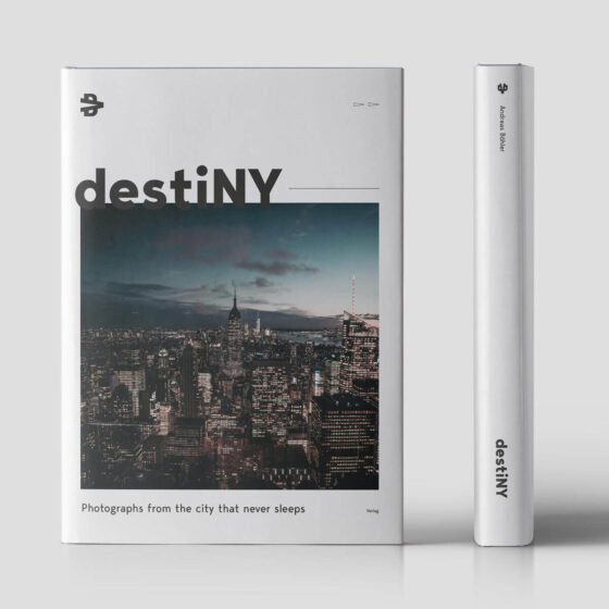 destiNY 2