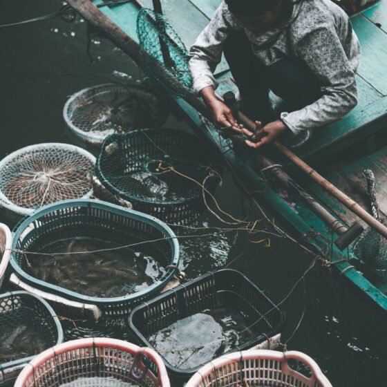 Halong 387