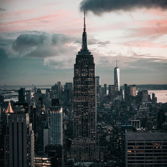 new york category