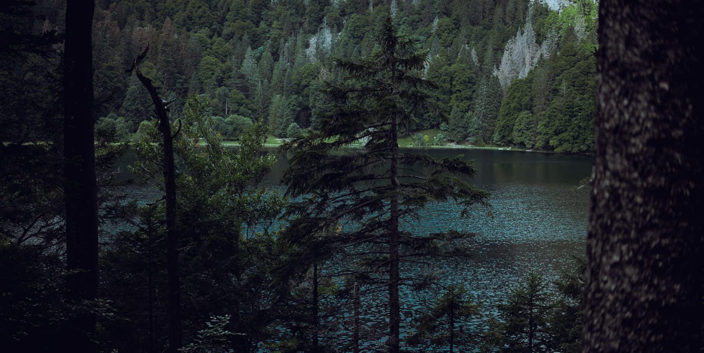 20210904 Black Forest Hike 0022 Edit