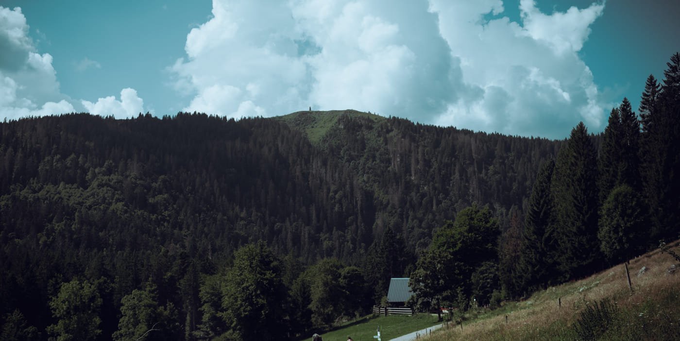 20210904 Black Forest Hike 0040 Edit