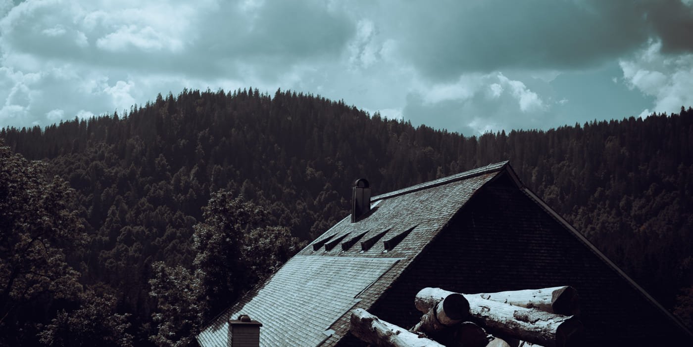 20210904 Black Forest Hike 0041 Edit