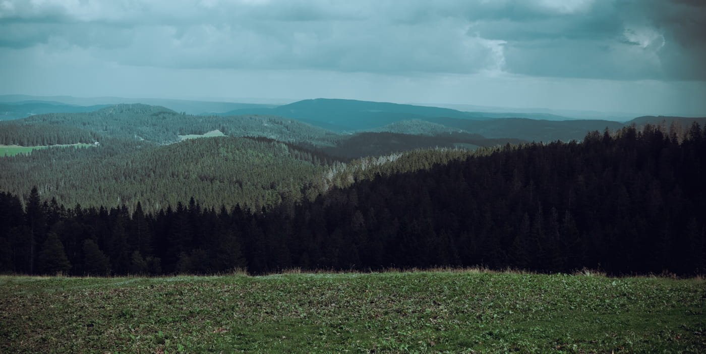 20210904 Black Forest Hike 0048 Edit