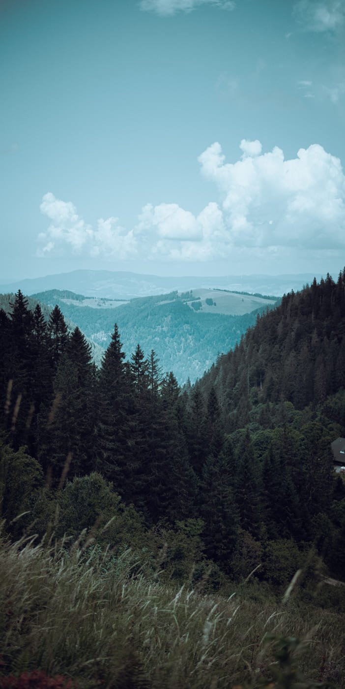 20210904 Black Forest Hike 0059 Edit