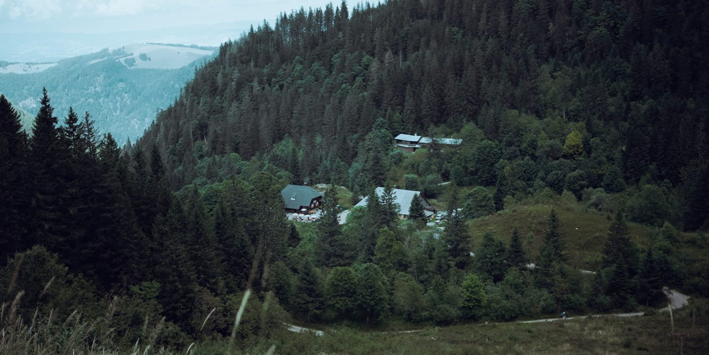 20210904 Black Forest Hike 0060 Edit