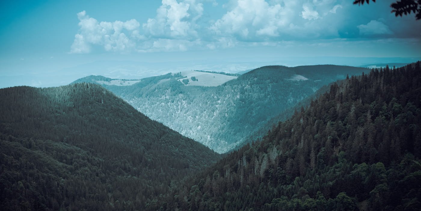 20210904 Black Forest Hike 0062 Edit