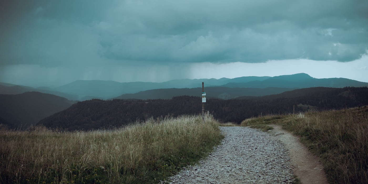 20210904 Black Forest Hike 0090 Edit