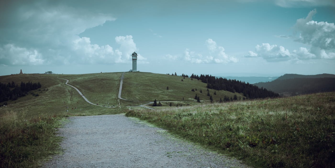 20210904 Black Forest Hike 0113 Edit