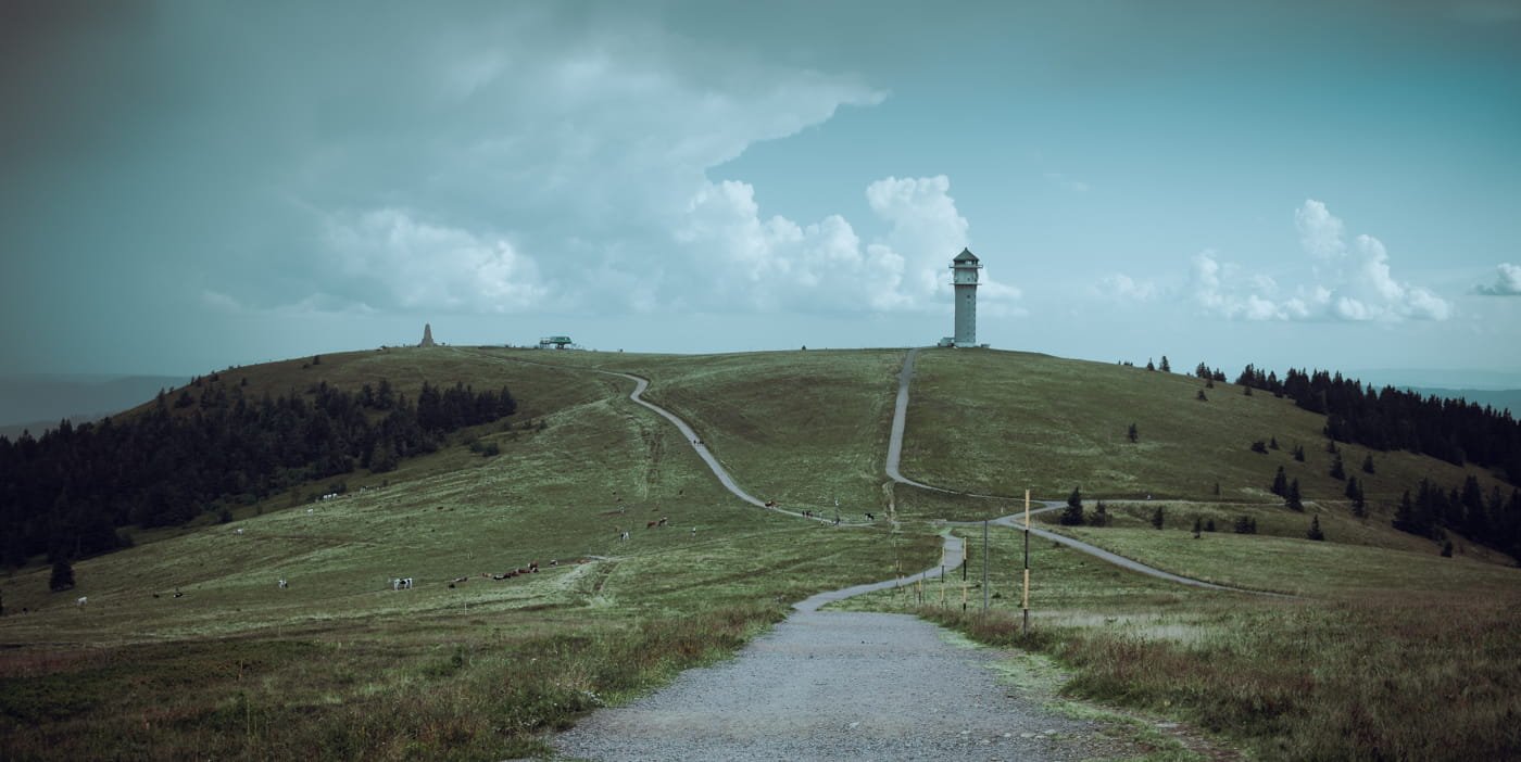 20210904 Black Forest Hike 0115 Edit