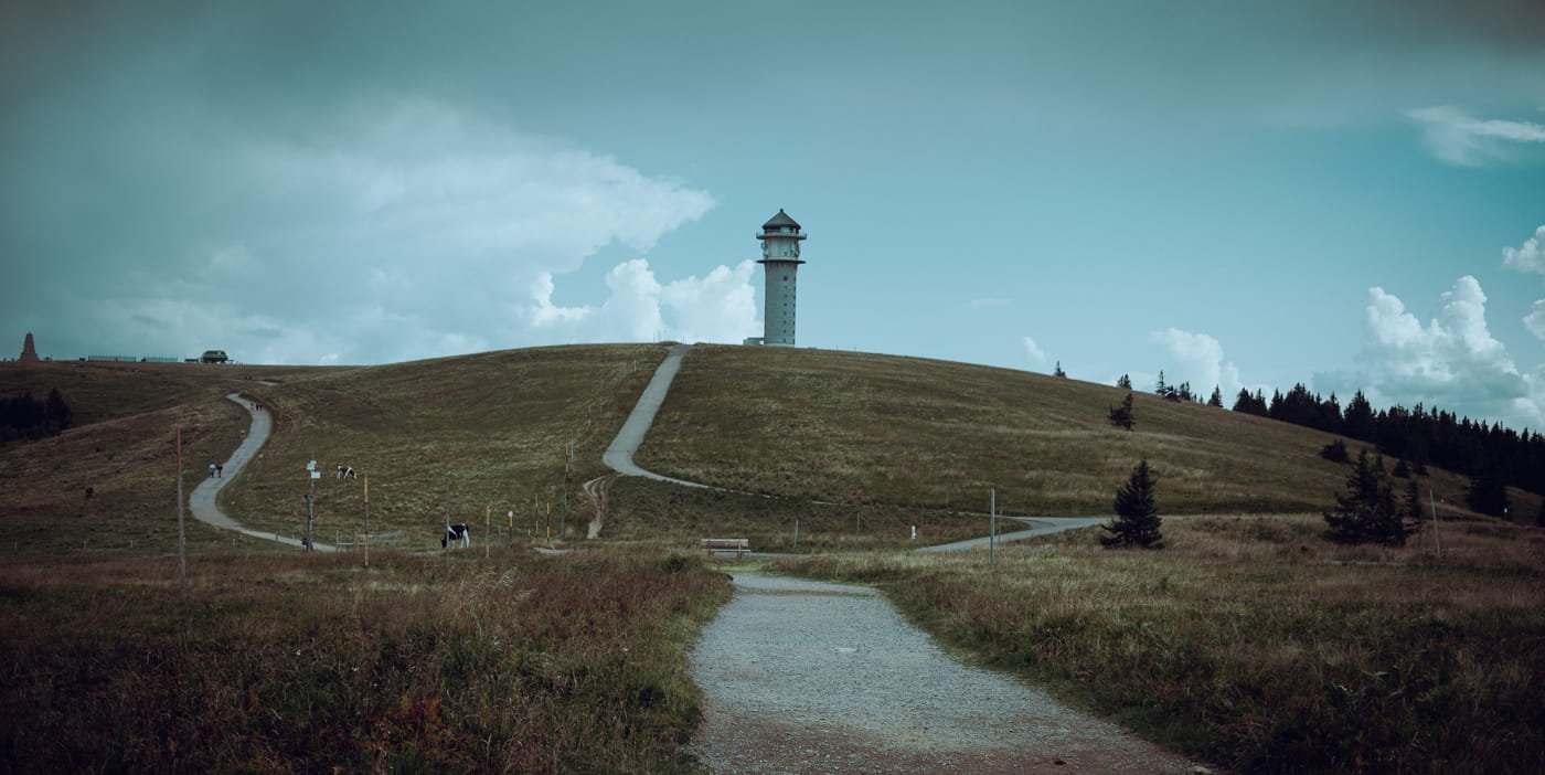 20210904 Black Forest Hike 0119 Edit